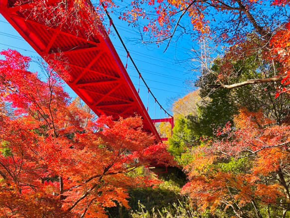 泉自然公園