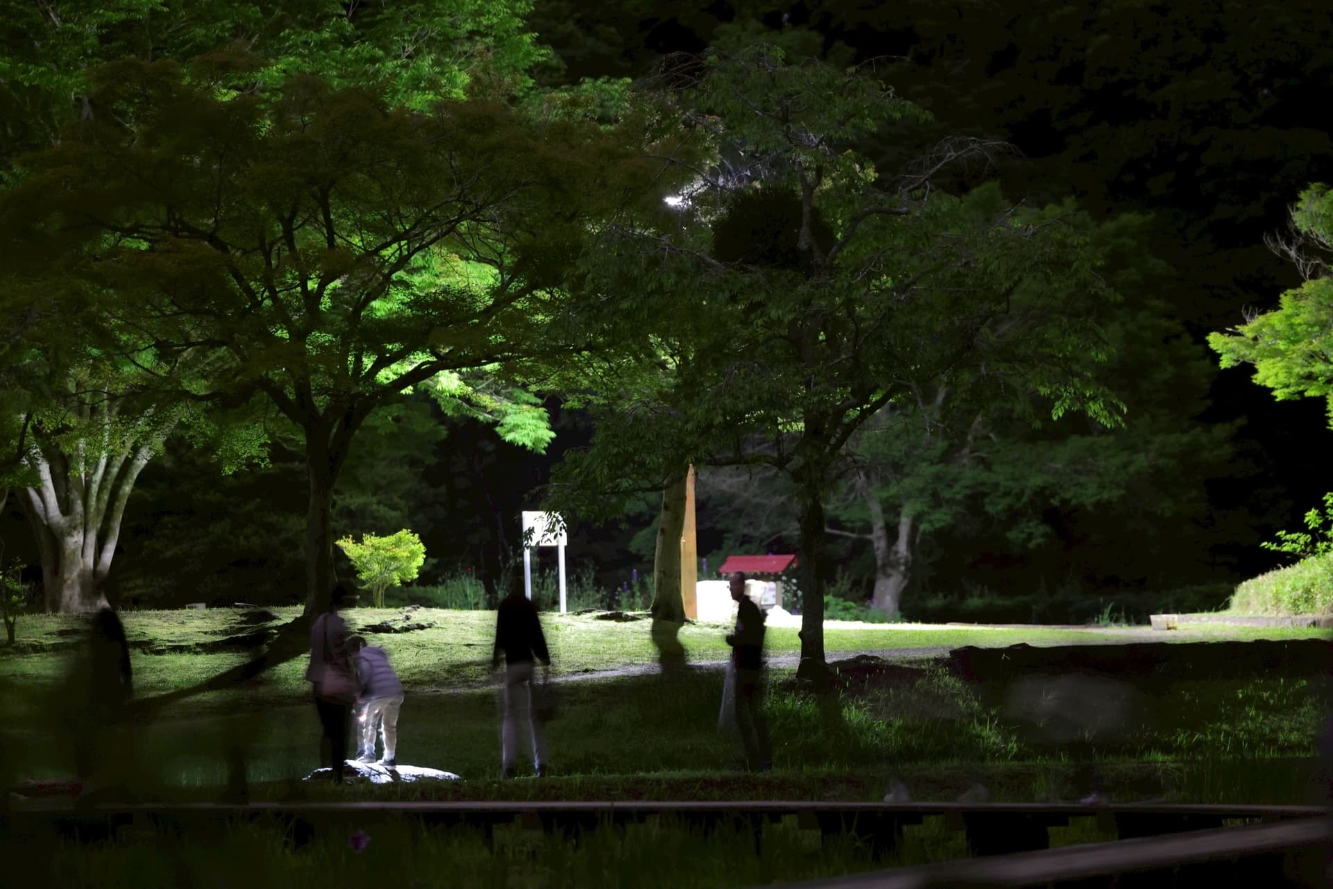 泉谷公園