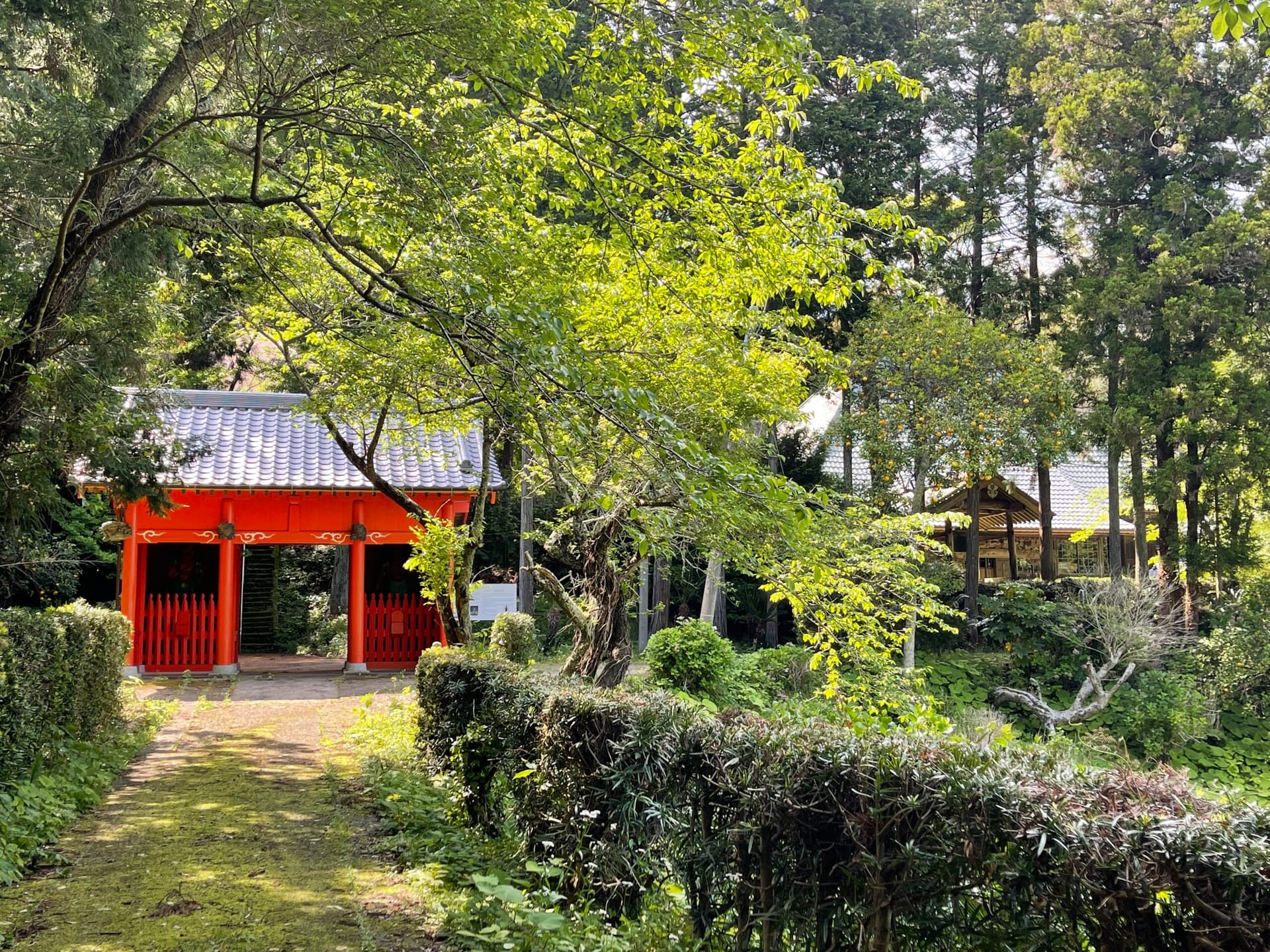 小網寺