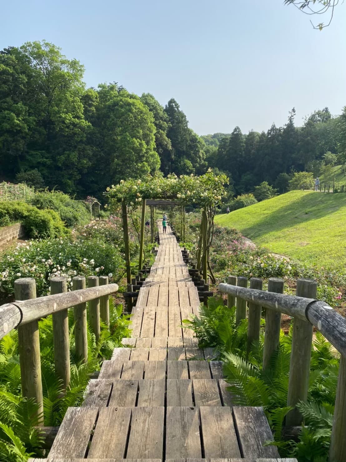 佐倉草ぶえの丘