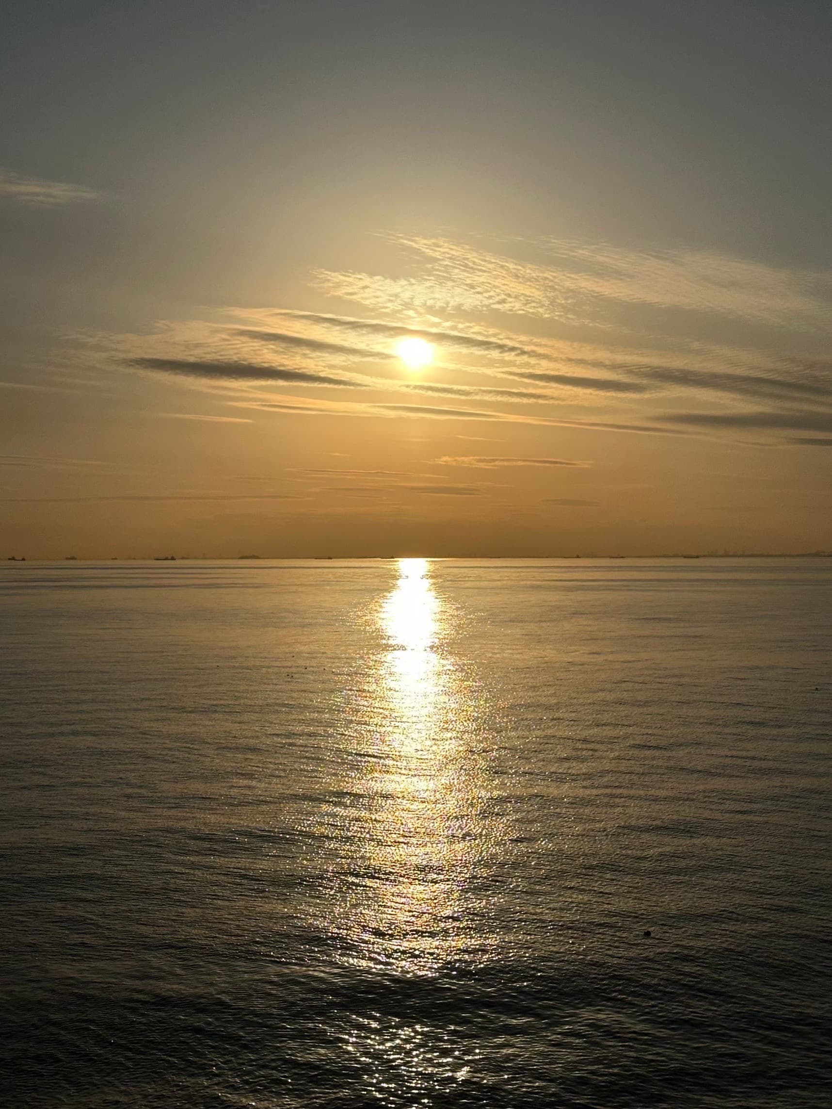 幕張の浜