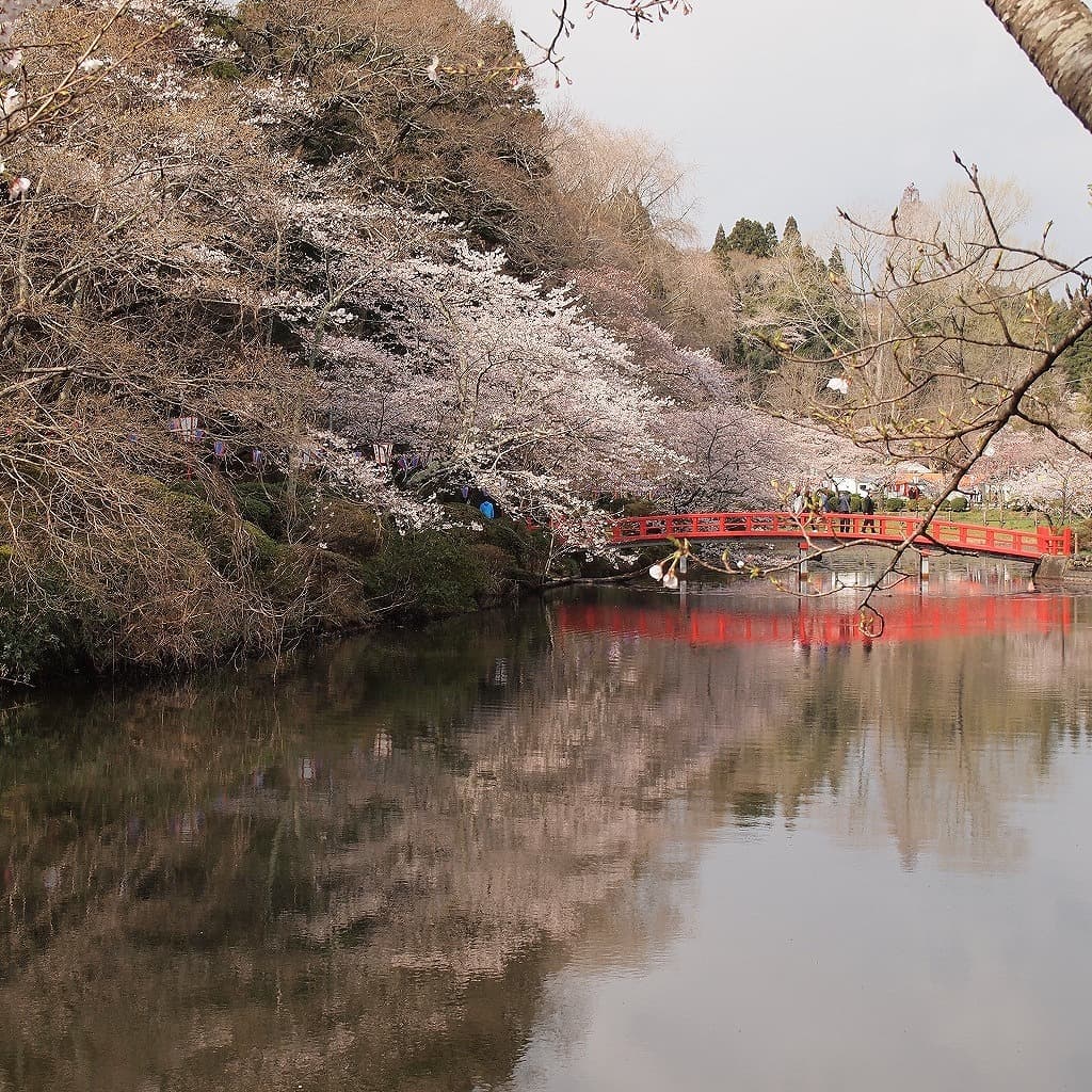 茂原公園