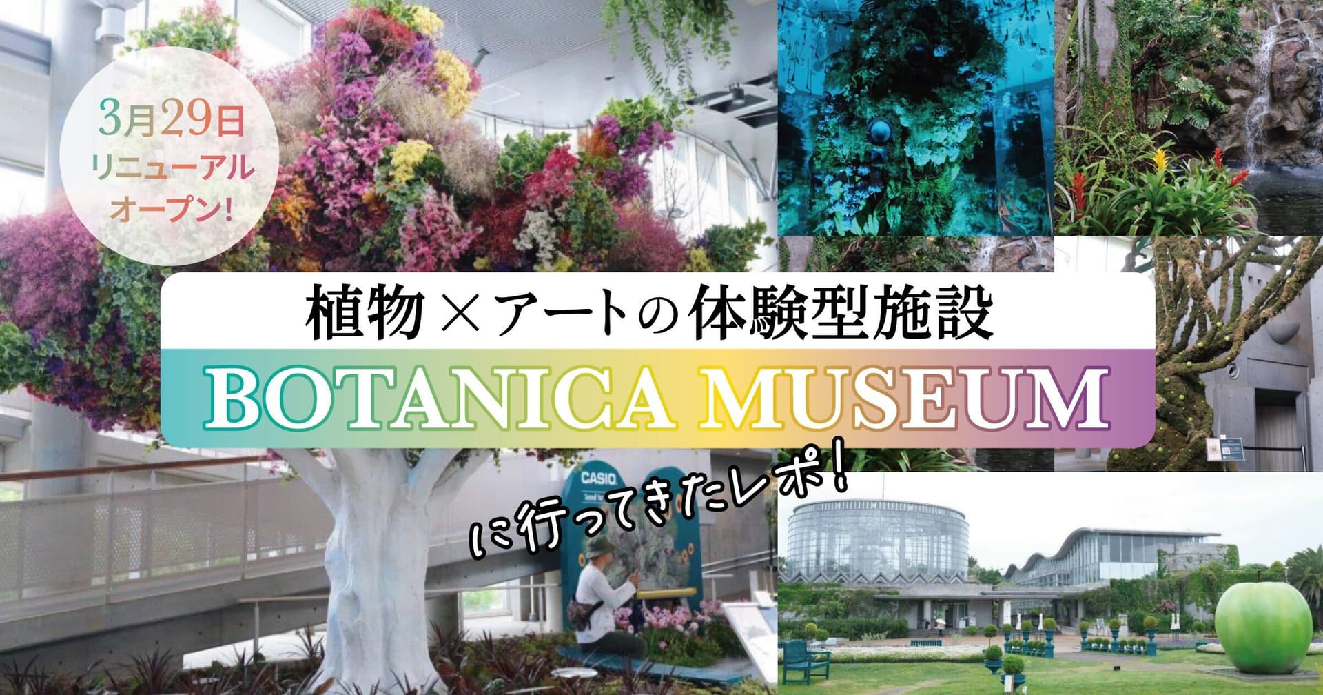 2025年3月29日リニューアルオープン!植物×アートの体験型施設「BOTANICA MUSEUM」に行ってきたレポ