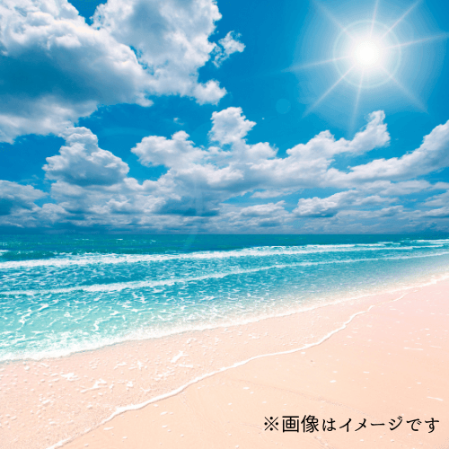 上総湊海水浴場 オープン