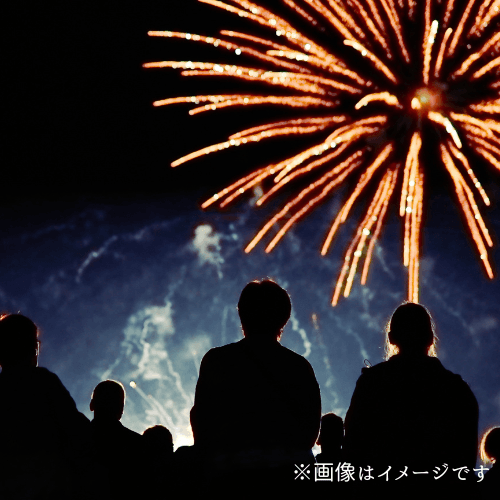 市川市民納涼花火大会