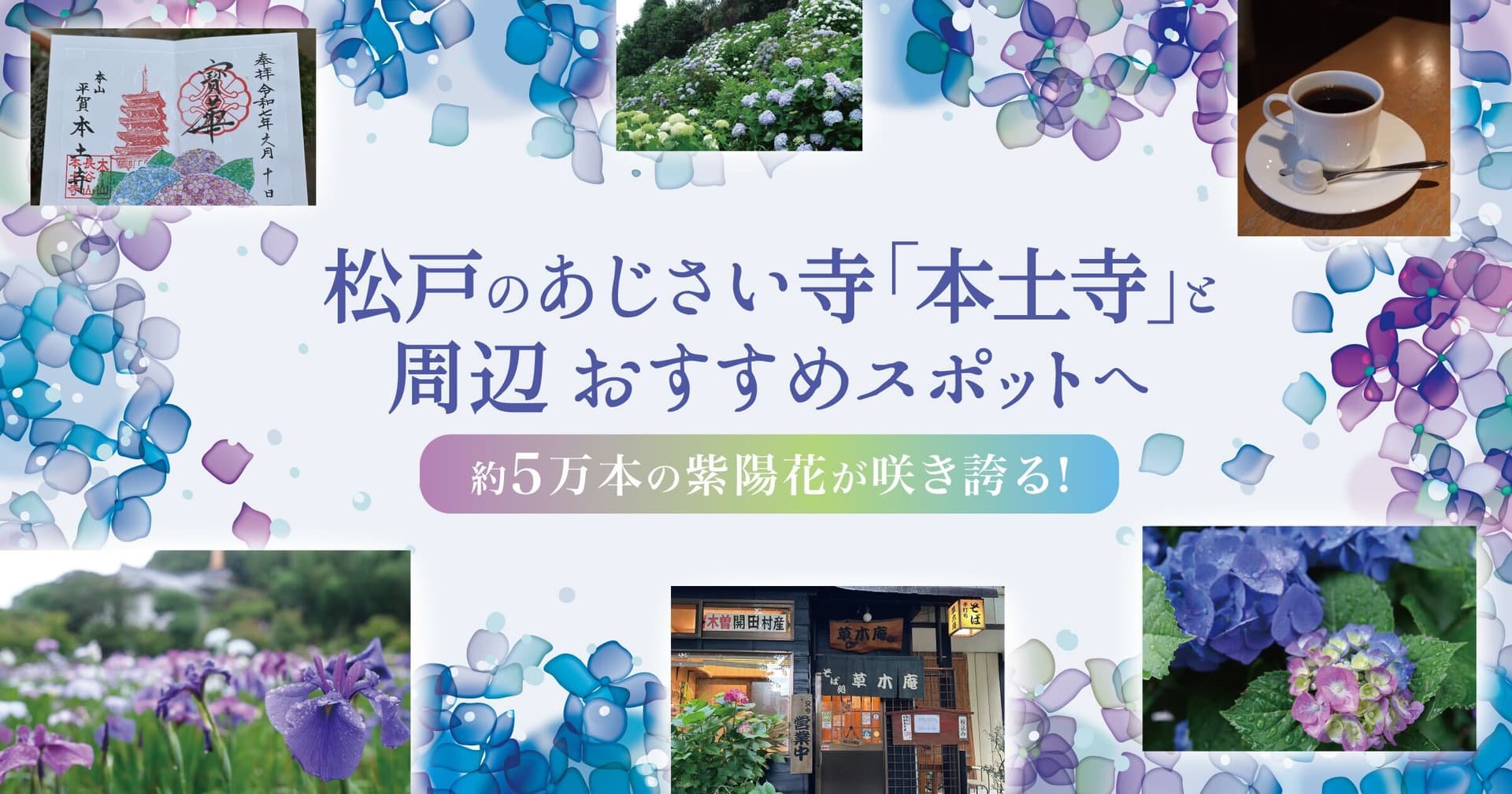 約5万本の紫陽花が咲き誇る!松戸のあじさい寺「本土寺」と周辺おすすめスポットへ