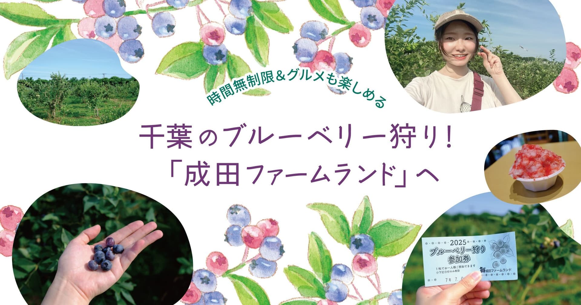 夏休みに行こうよ、千葉のブルーベリー狩り!時間無制限&グルメも楽しめる「成田ファームランド」へ