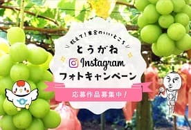 とうがねInstagramフォトキャンペーン応募作品募集!
