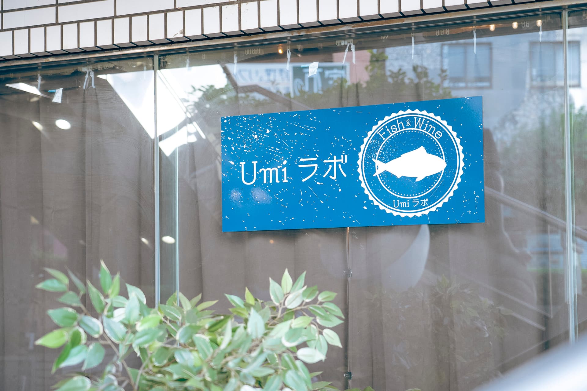 海鮮イタリアン中華酒場 UMIラボ 千葉店