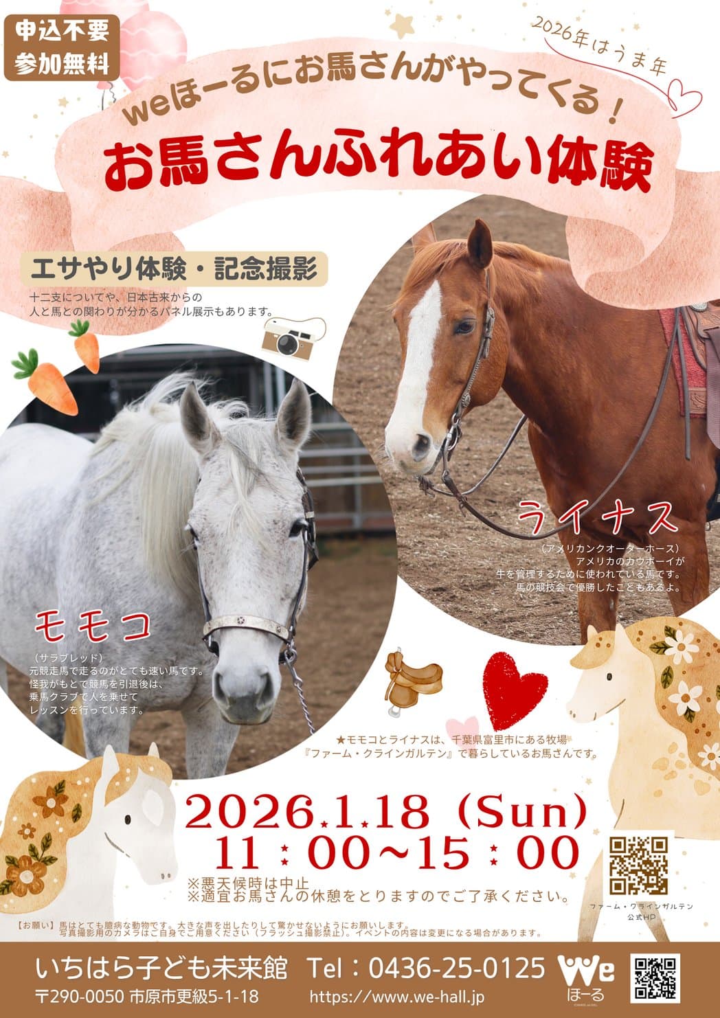 お馬さんふれあい体験
