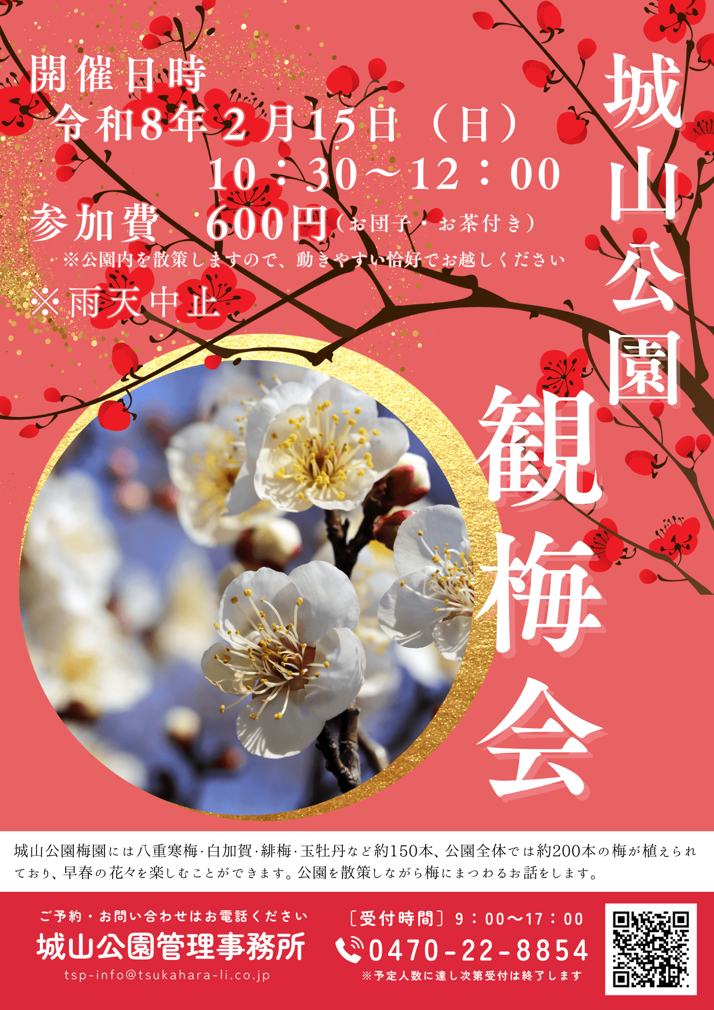 城山公園 観梅会