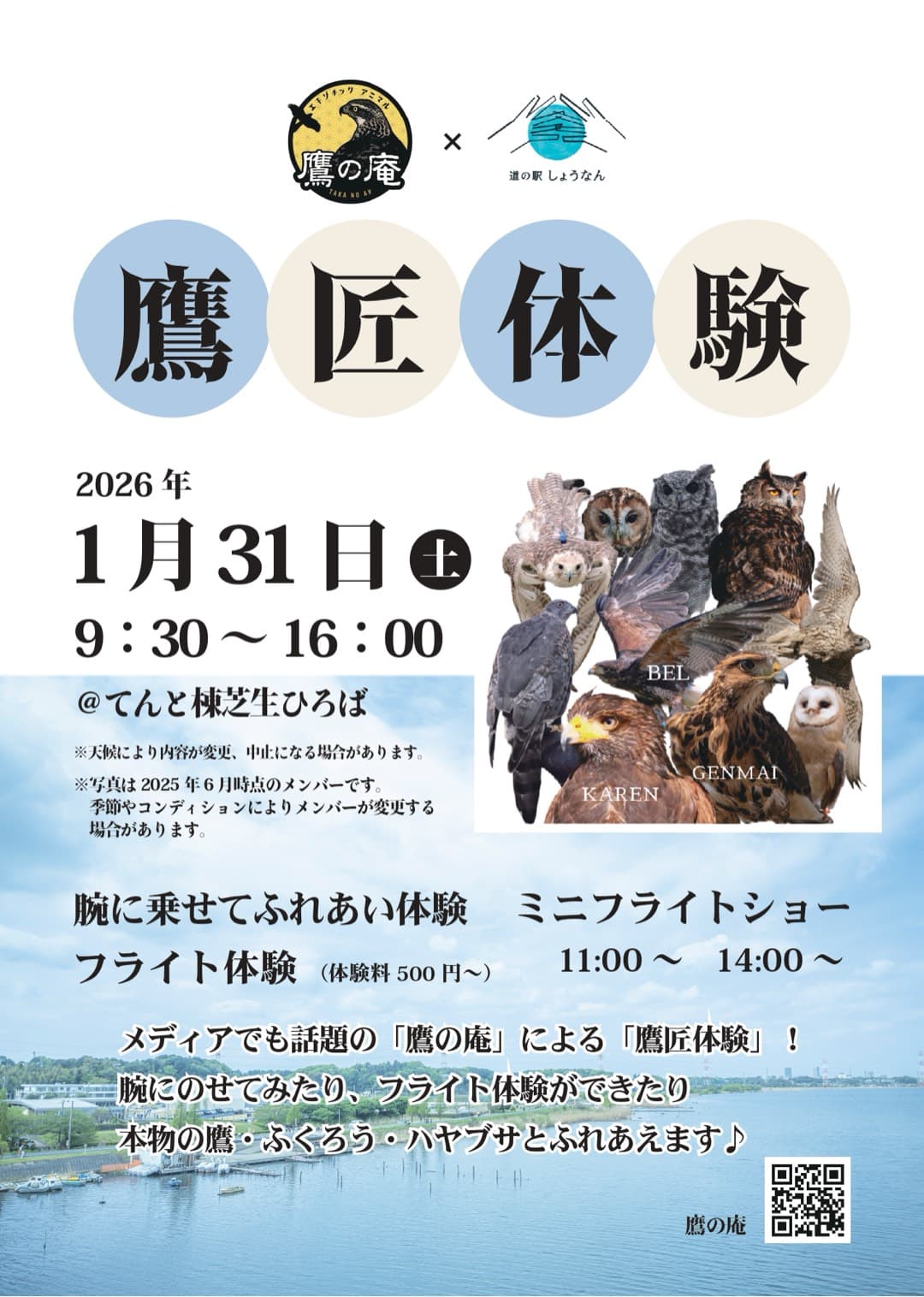 鷹匠体験