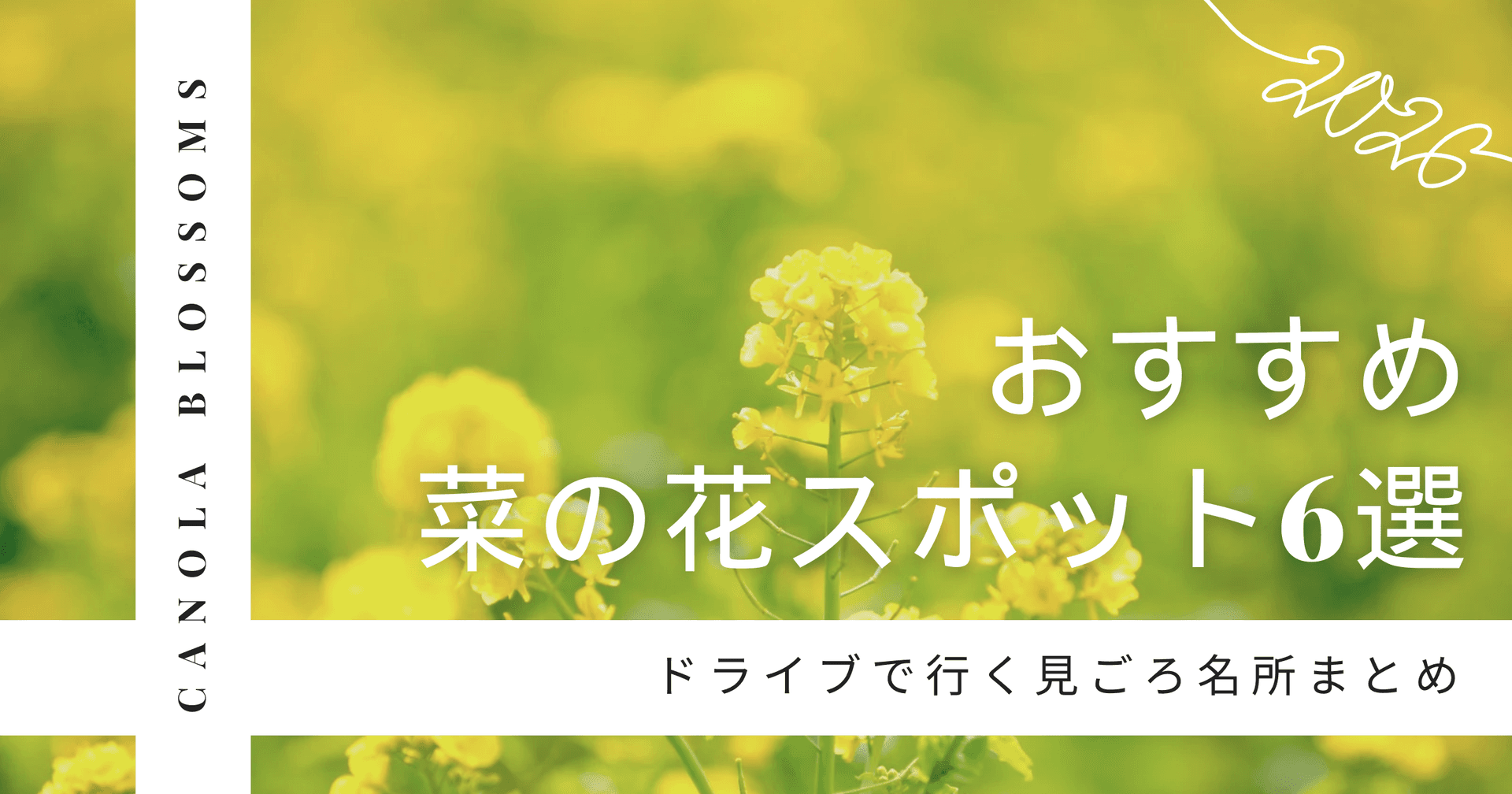 【2026年】千葉県おすすめ菜の花スポット6選!ドライブで行く見ごろ名所まとめ