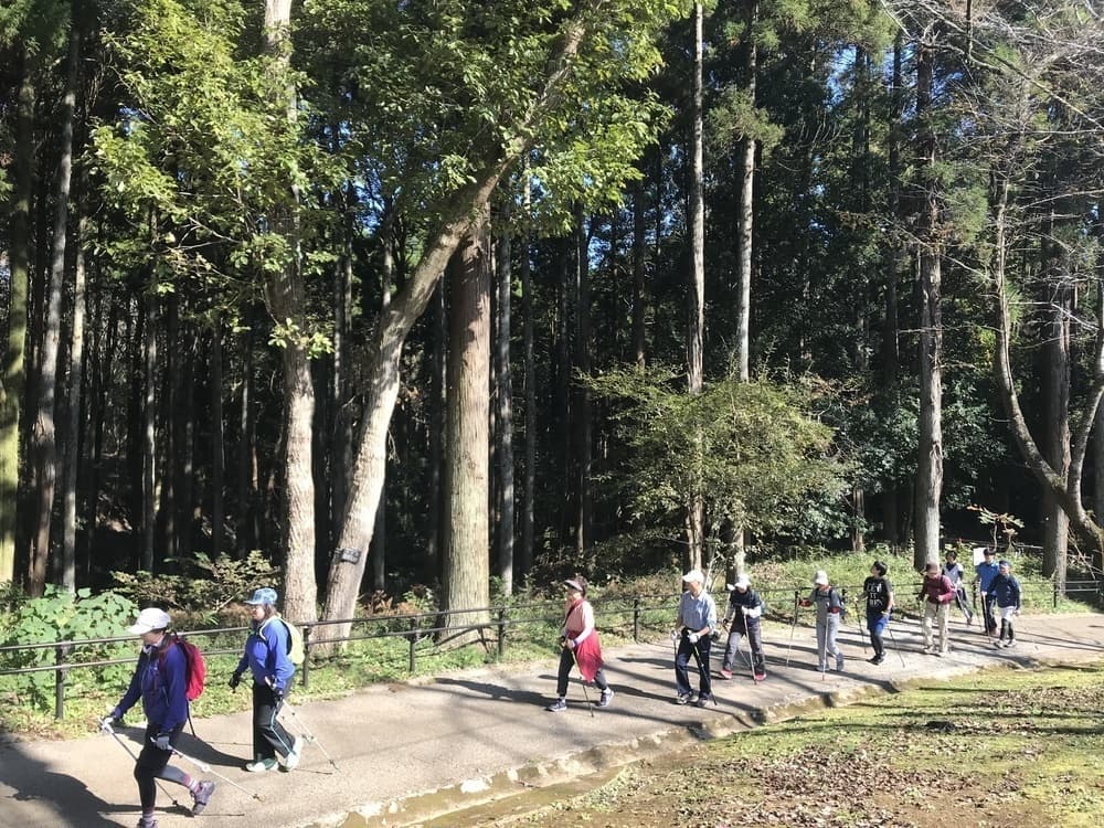 ノルディックウォーク(泉自然公園)