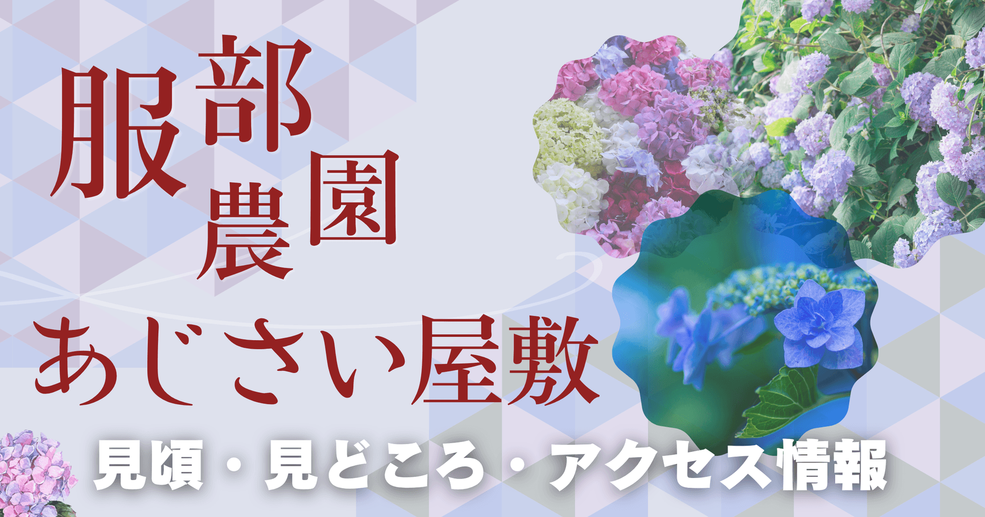 【茂原市】服部農園 あじさい屋敷・2026年開園情報|見頃・見どころ・アクセスを紹介