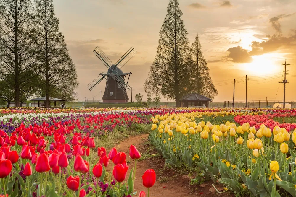 東葛エリアの画像