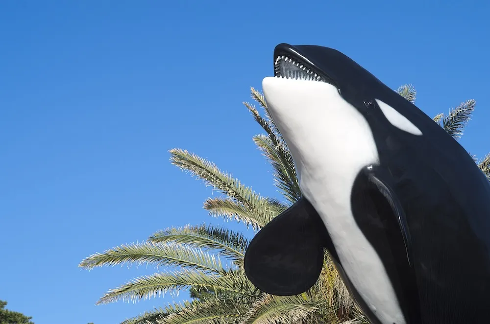 外房エリアの画像