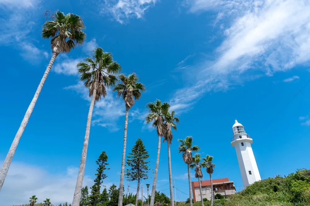 南房総エリアの画像