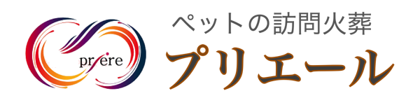 投稿サムネイル