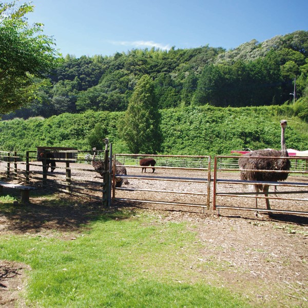 投稿サムネイル