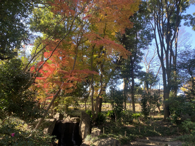 千葉都市緑化植物園