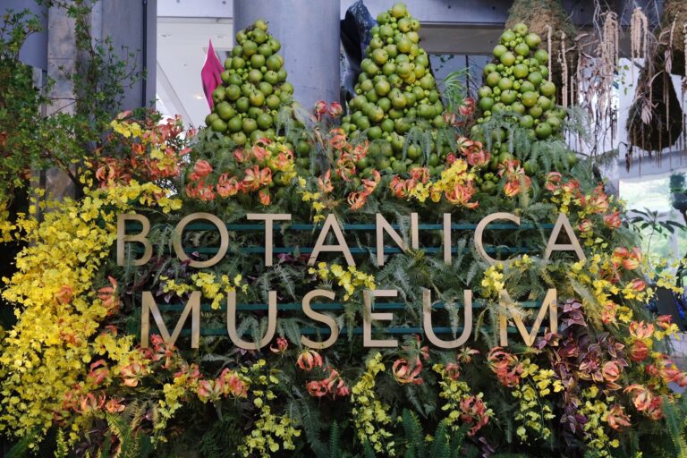 BOTANICA MUSEUM（千葉市花の美術館）