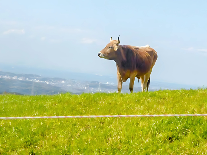 投稿サムネイル