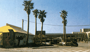 投稿サムネイル