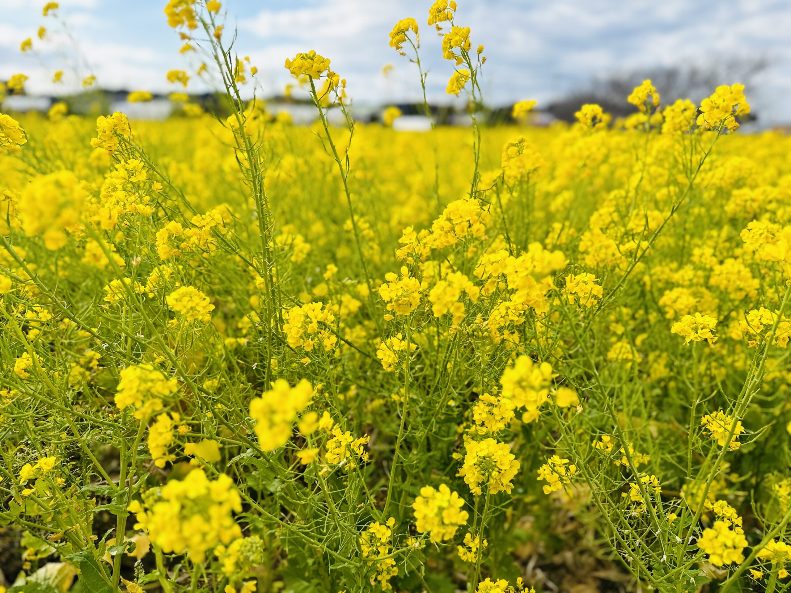 投稿サムネイル