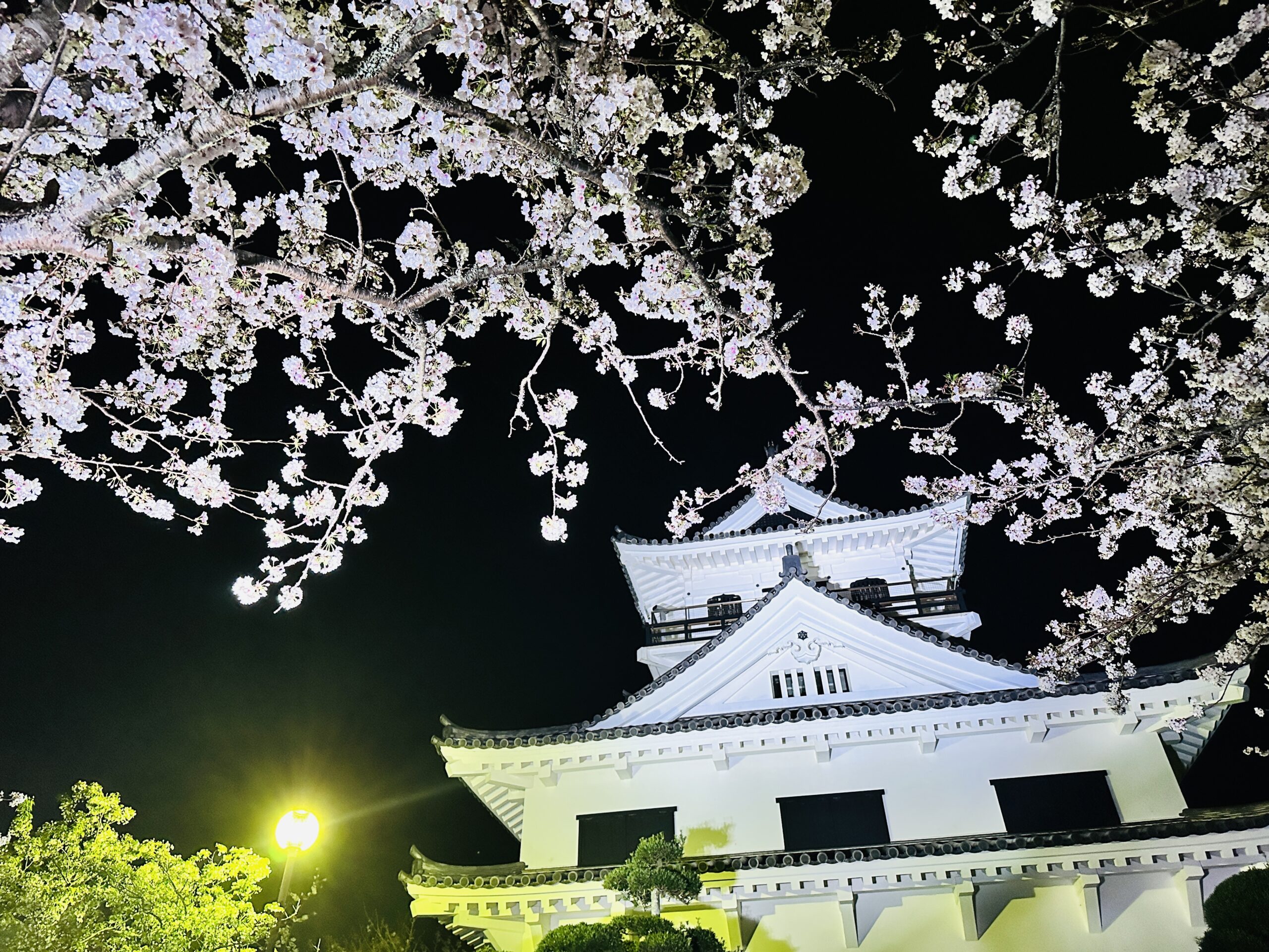 投稿サムネイル