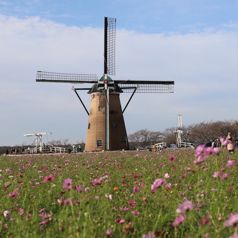 投稿サムネイル