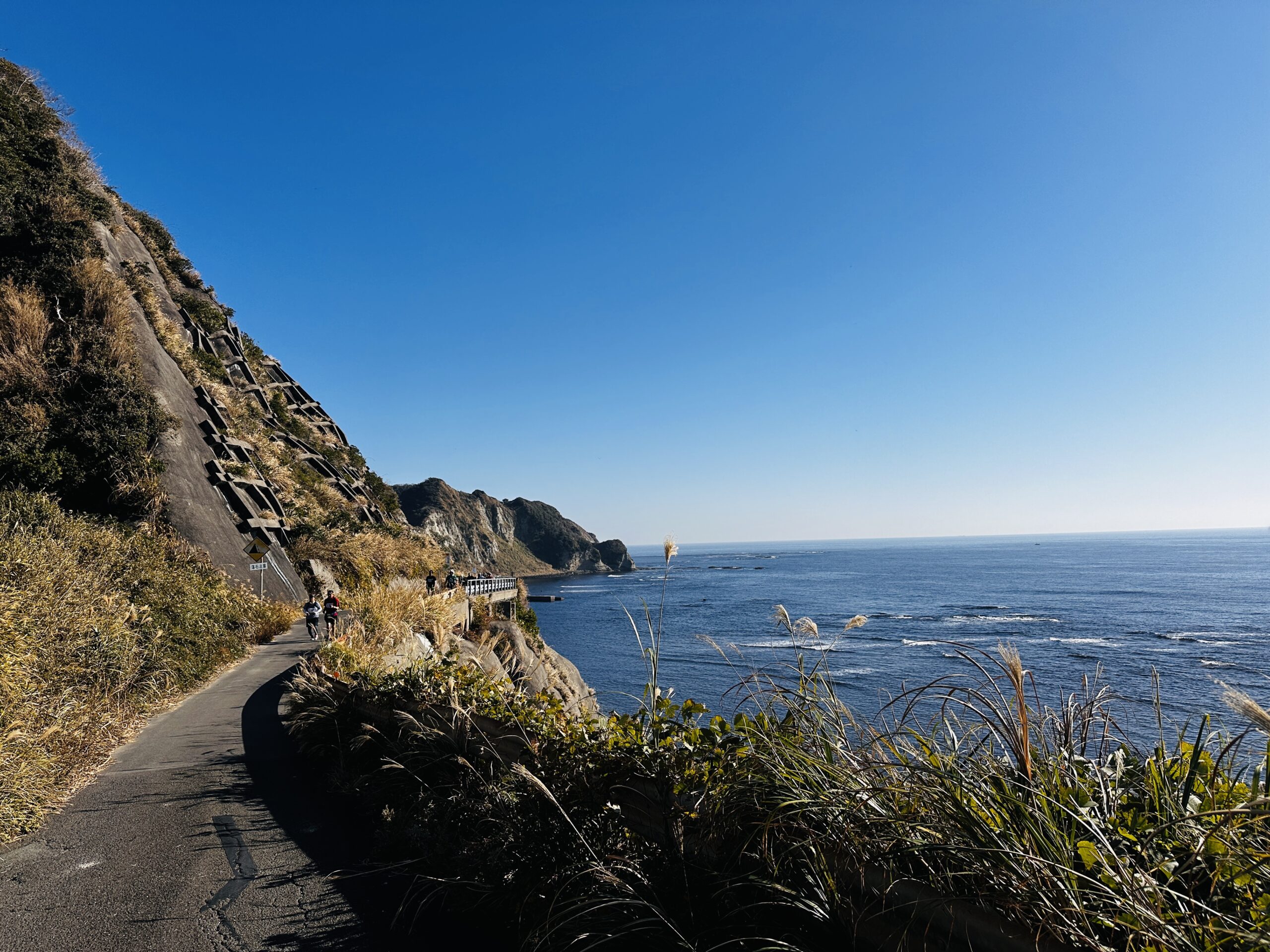 投稿サムネイル