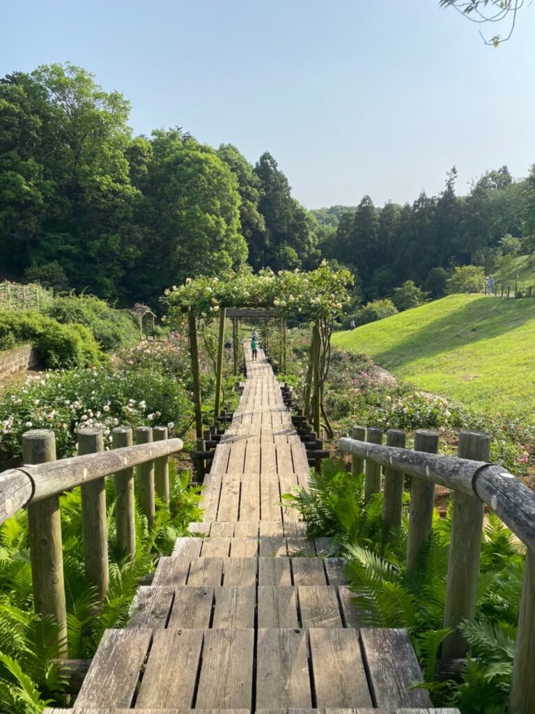 佐倉草ぶえの丘