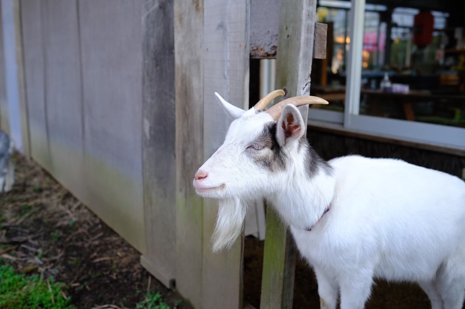投稿サムネイル