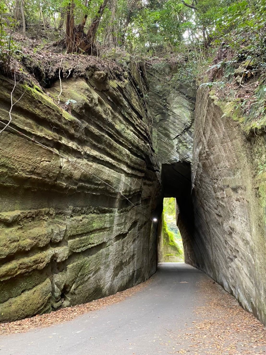 投稿サムネイル