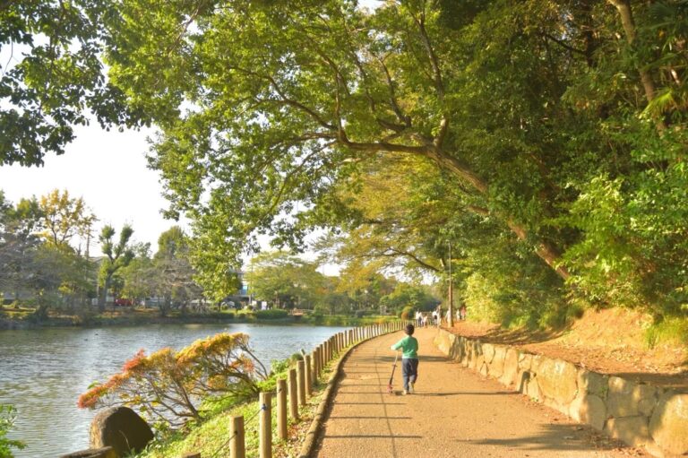 じゅん菜池緑地