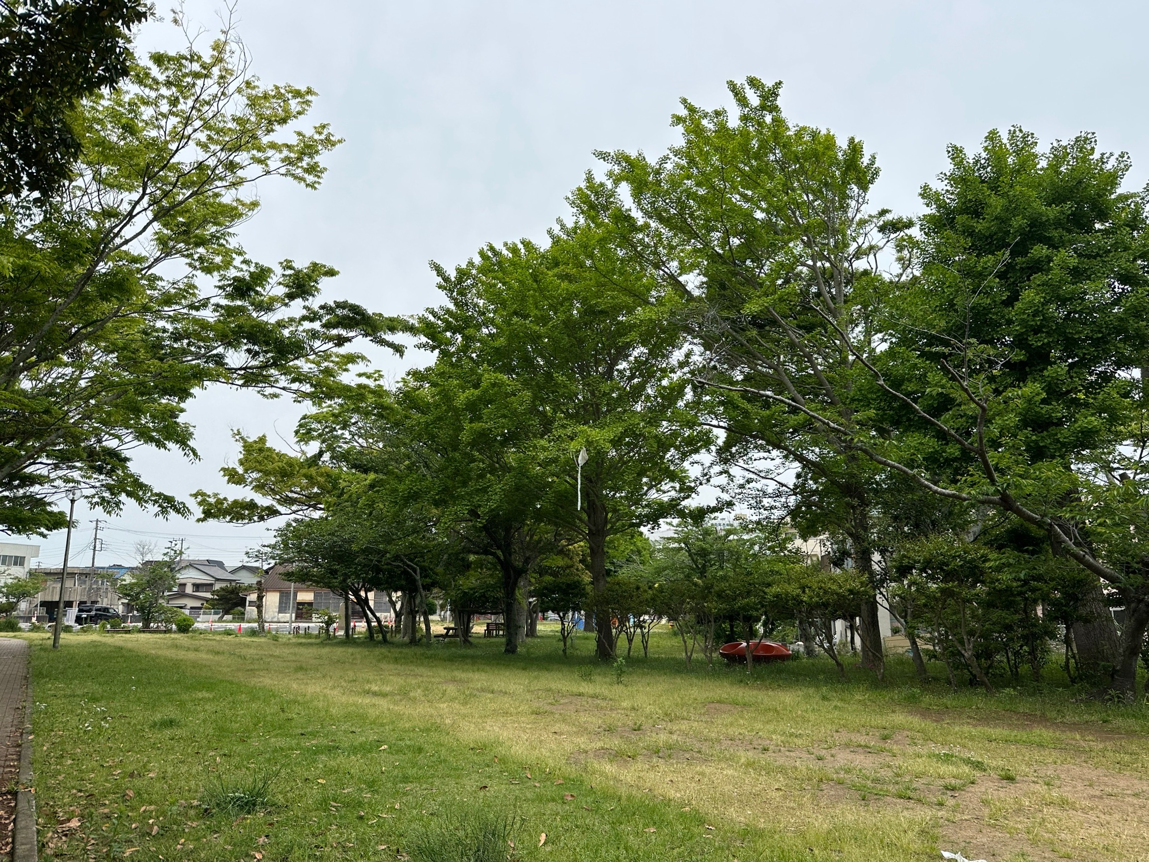 投稿サムネイル