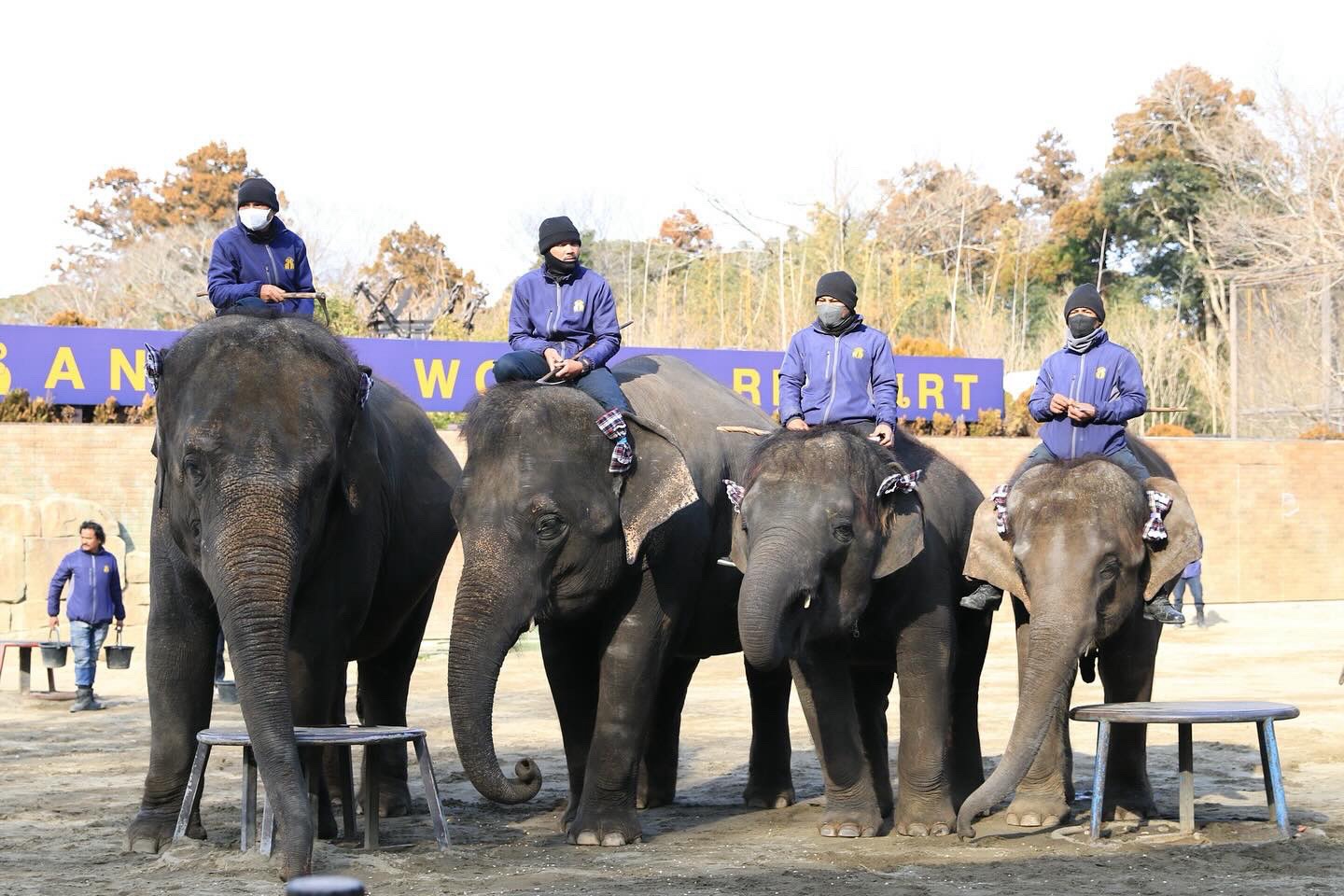 投稿サムネイル