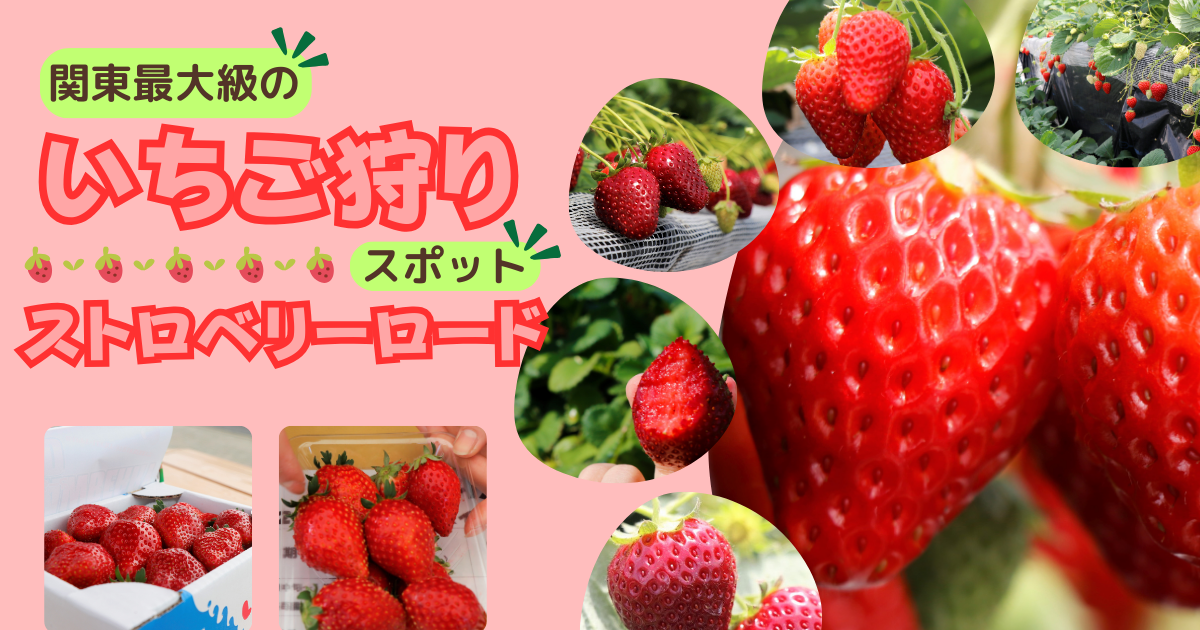 投稿サムネイル