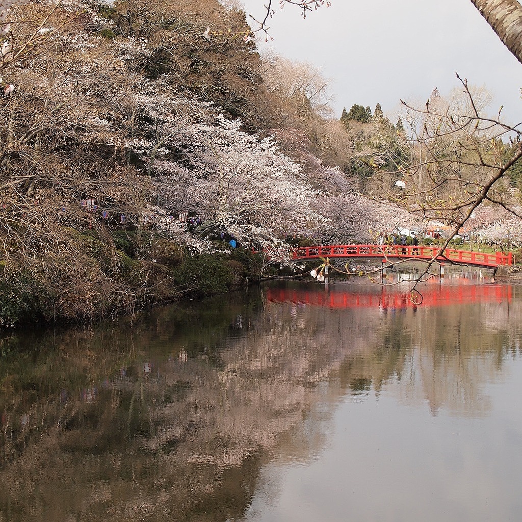 投稿サムネイル