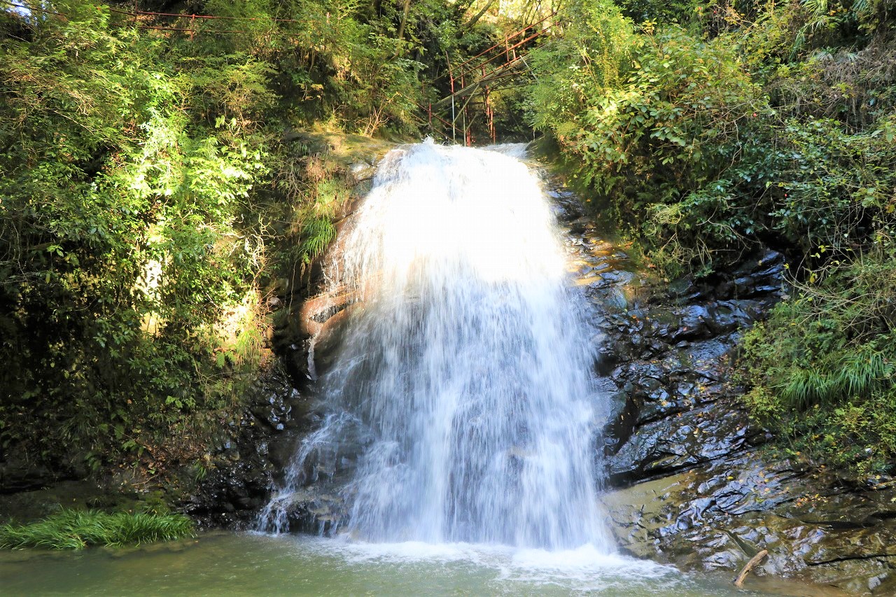 投稿サムネイル