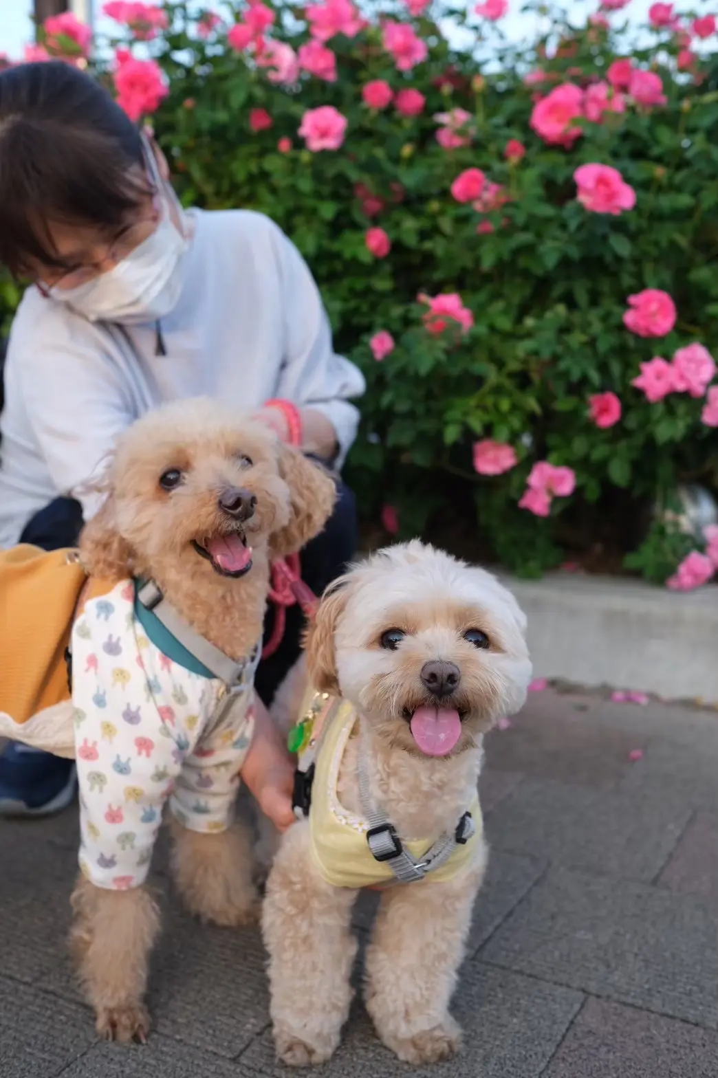 投稿サムネイル