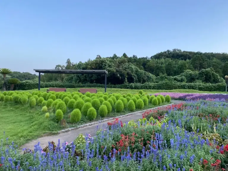 市原サービスエリア/ (上り)