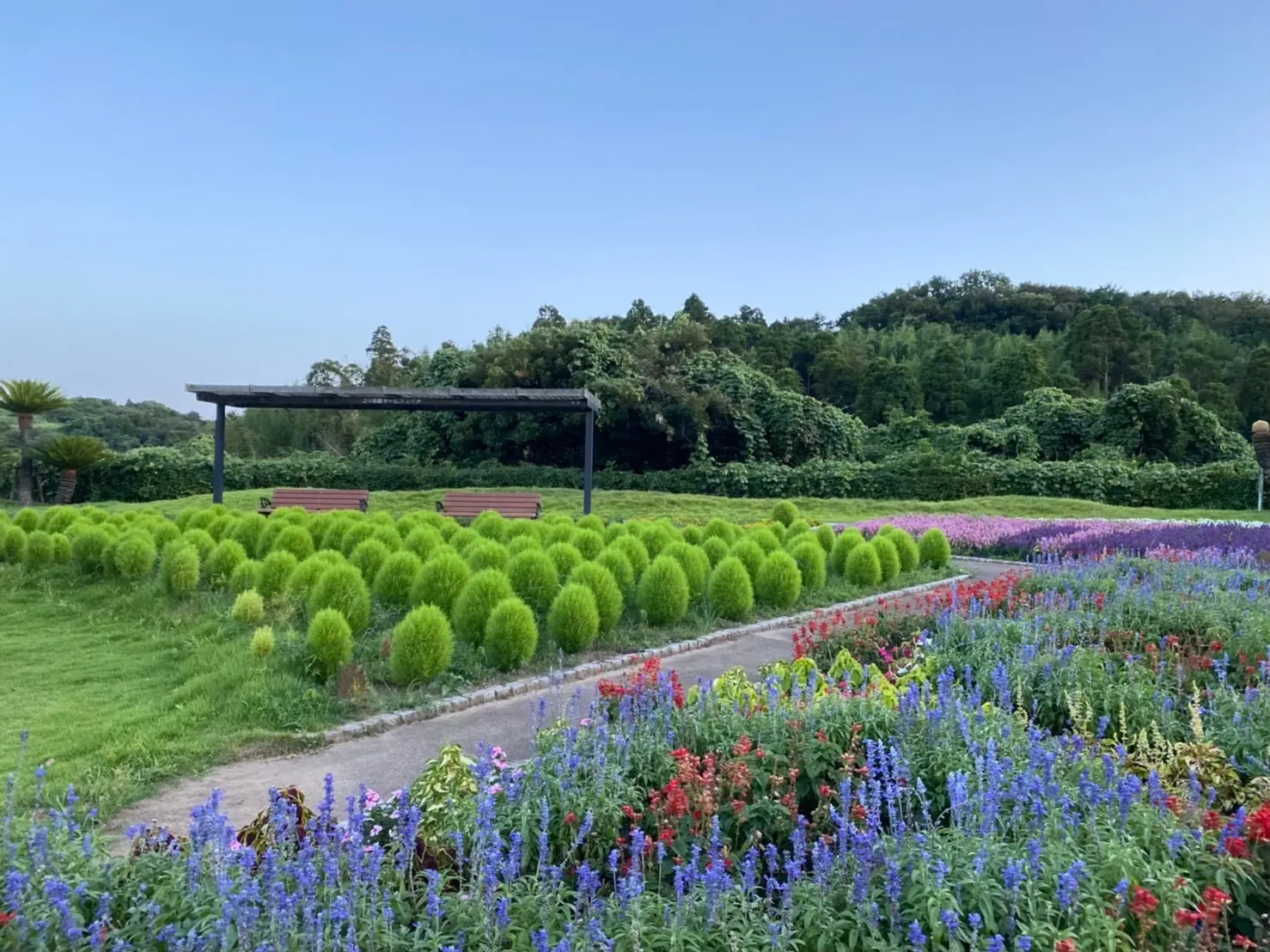 投稿サムネイル