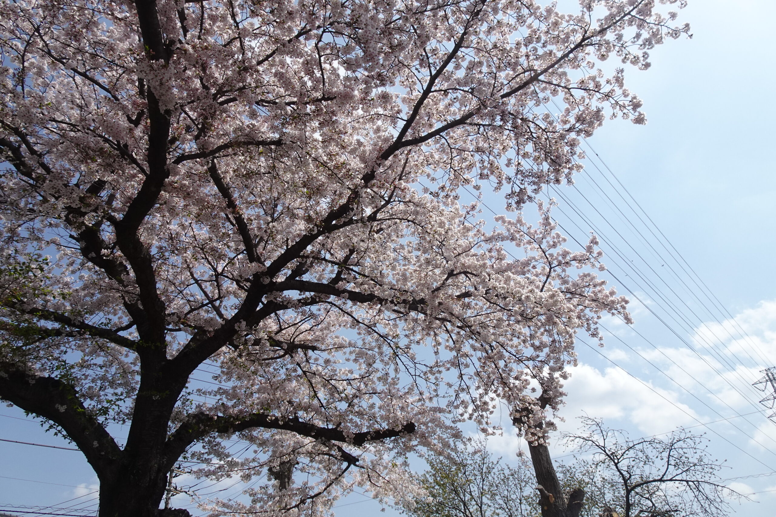 投稿サムネイル