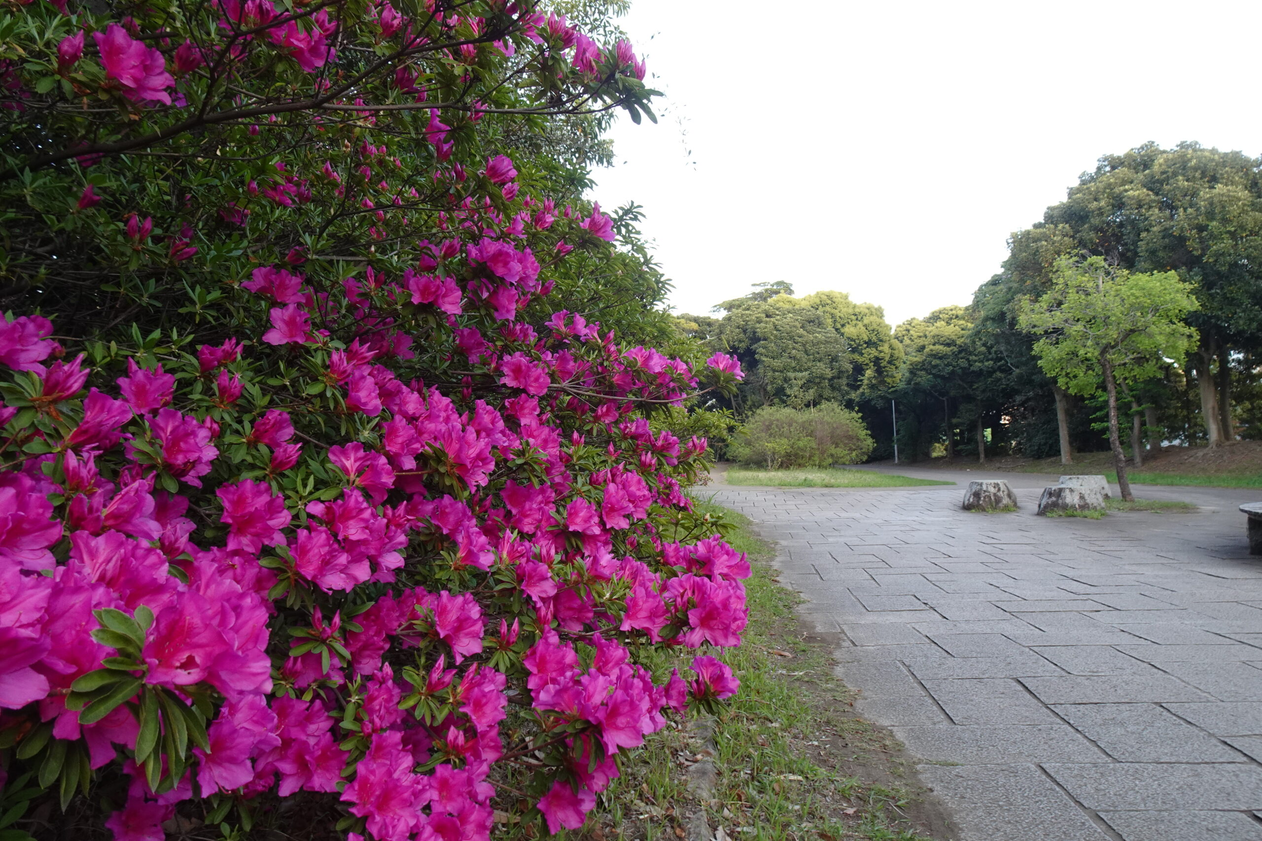 投稿サムネイル