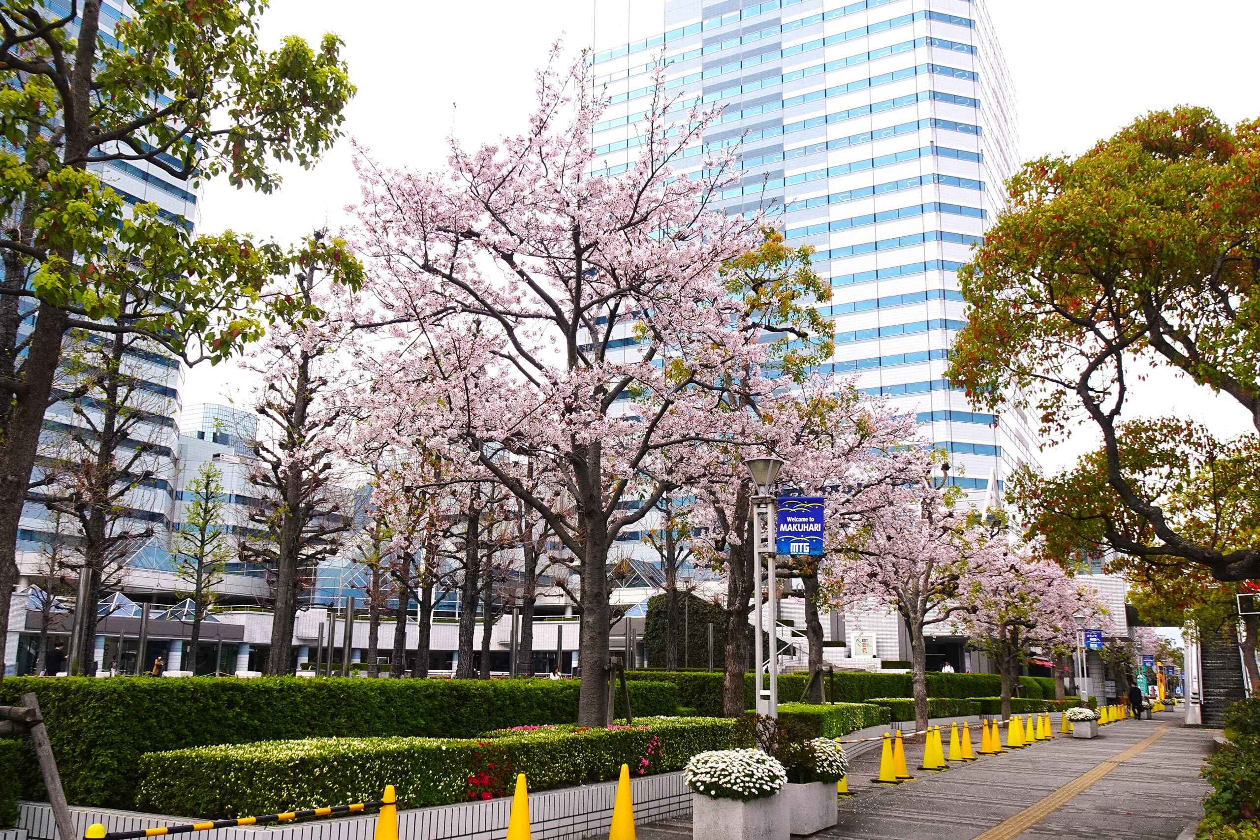 投稿サムネイル