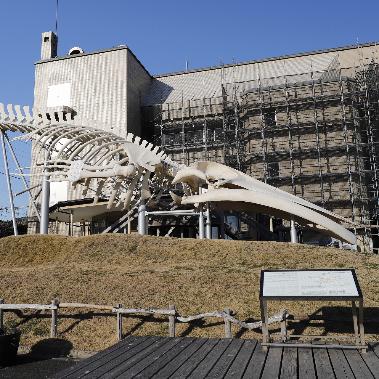 投稿サムネイル