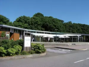 投稿サムネイル