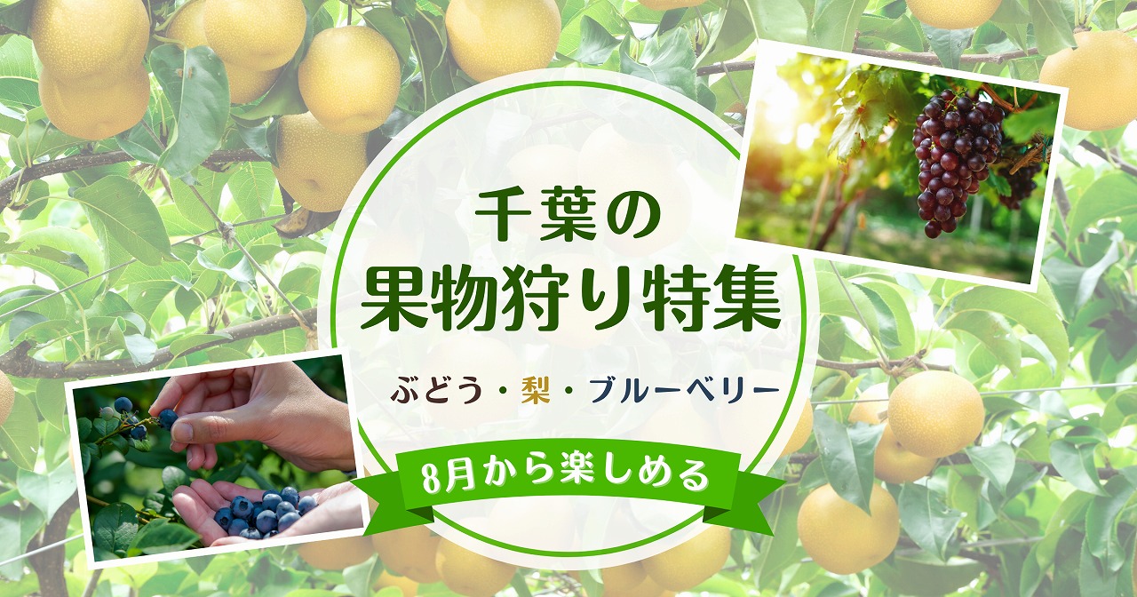 投稿サムネイル